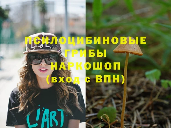 прущий лед Киренск