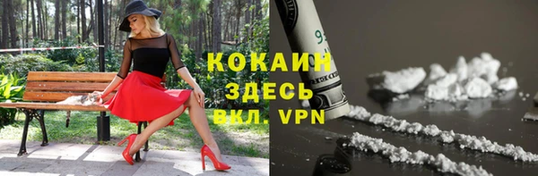 шишки Волосово